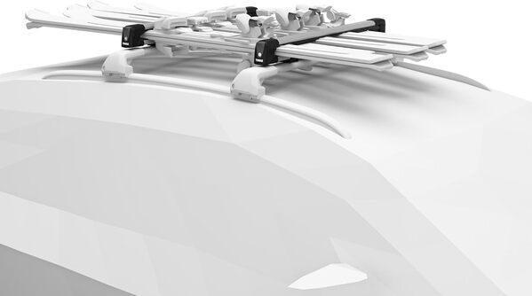 Thule Automotive SnowPack Six Paires de Skis, Gris et Noir, L, Aluminium