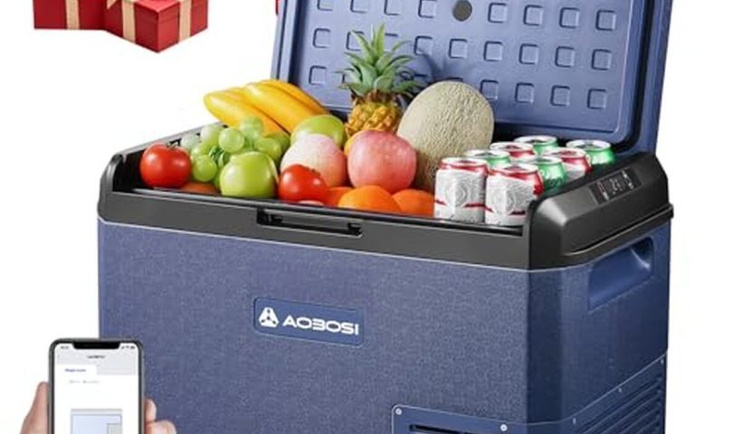 Test de la glacière électrique Aaobosi 50L : performance et polyvalence