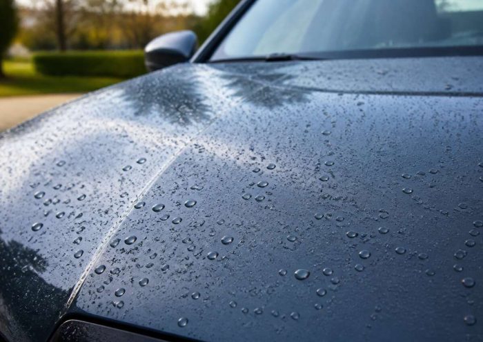 Comment éliminer les traces d'insectes sur votre voiture ?