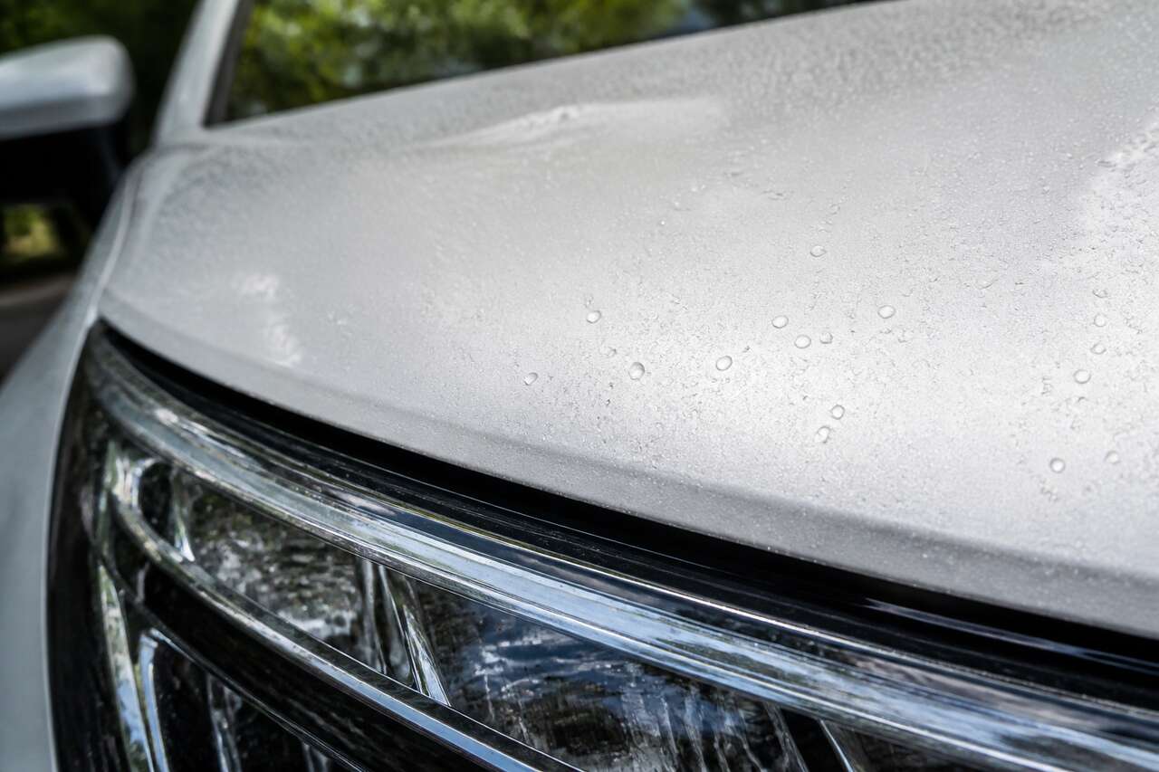 Pourquoi les traces d’insectes s’incrustent et ce qu’elles abîment Pourquoi les traces d’insectes s’incrustent et ce qu’elles abîment